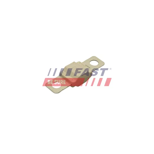 Poistka FAST FT83405