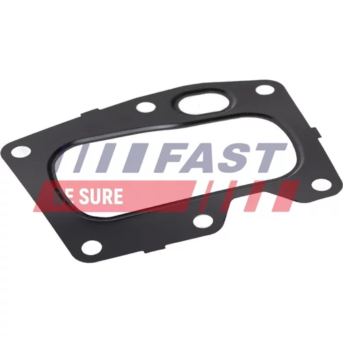 Tesnenie, EGR ventil FAST FT13433
