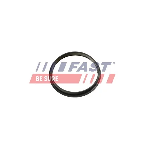 Tesnenie vákuového čerpadla FT49853 /FAST/ - obr. 1