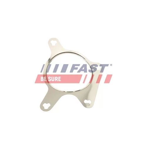 Tesnenie, EGR ventil FT50613 /FAST/ - obr. 1