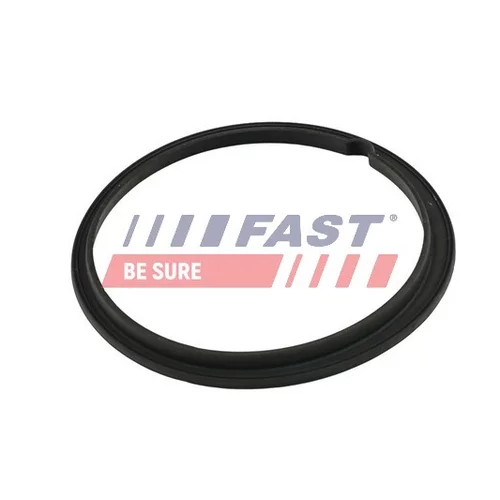 Tesnenie, Snímač hladiny paliva FT48502 /FAST/ - obr. 1