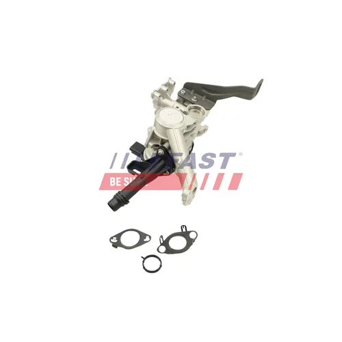 EGR ventil FAST FT60246