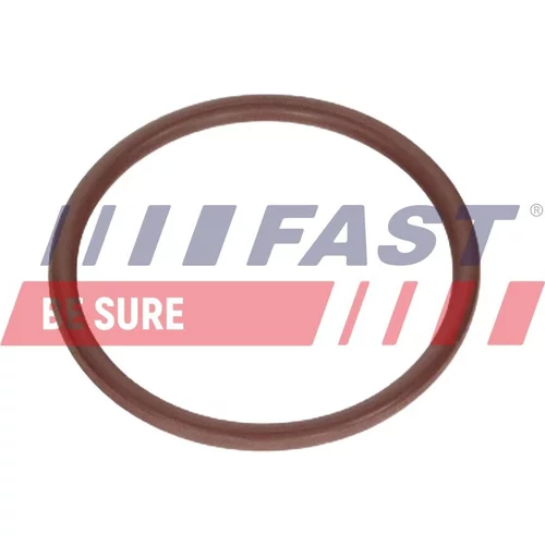 Tesniaci krúžok FAST FT12925
