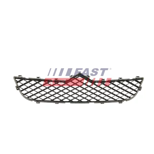 Mriežka chladiča FT91601 /FAST/ - obr. 1
