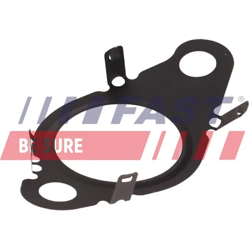 Tesnenie, EGR ventil FT13438 /FAST/ - obr. 1