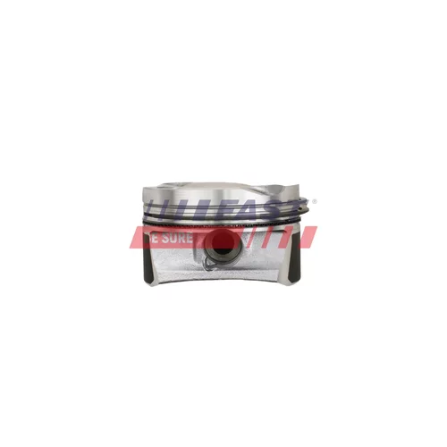 Piest FT47135/0 /FAST/ - obr. 2