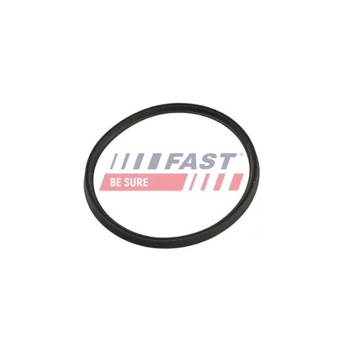Tesniaci krúžok hadice plniaceho vzduchu FAST FT48965