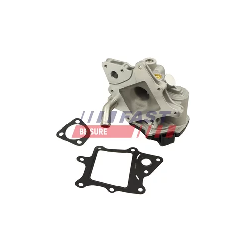 EGR ventil FAST FT60231