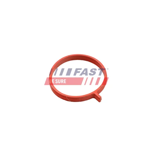 Tesniaci krúžok FT48959 /FAST/ - obr. 1
