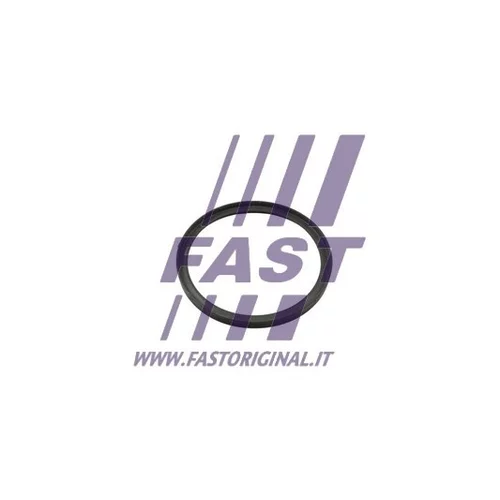 Tesniaci krúžok hadice plniaceho vzduchu FT49857 /FAST/ - obr. 2
