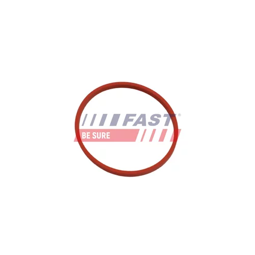 Tesnenie, Vedenie EGR ventilu FT49868 /FAST/ - obr. 1