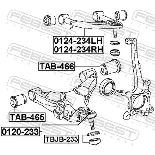 Rameno zavesenia kolies 0124-234RH /FEBEST/ - obr. 1