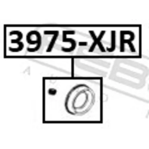 Opravná sada brzdového strmeňa 3975-XJR /FEBEST/ - obr. 1