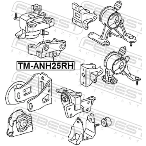 Uloženie motora TM-ANH25RH /FEBEST/ - obr. 1
