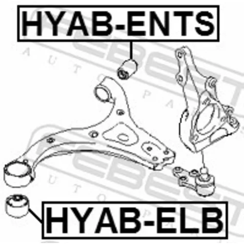 Uloženie riadenia HYAB-ENTS /FEBEST/ - obr. 1