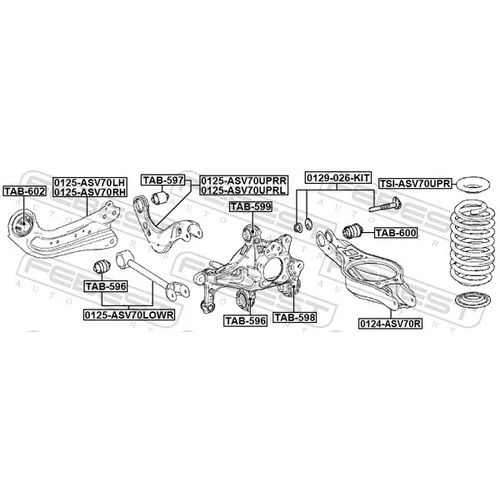 Rameno zavesenia kolies 0125-ASV70LOWR /FEBEST/ - obr. 1