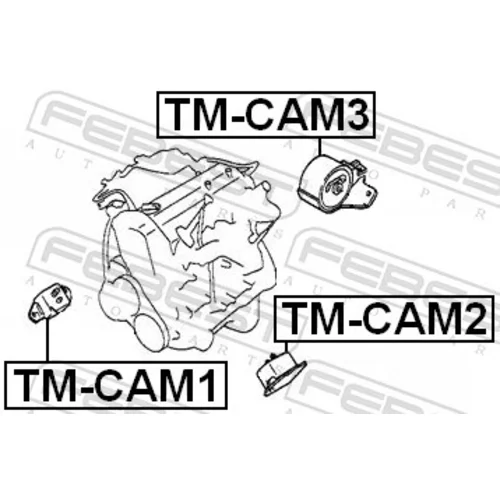 Uloženie motora TM-CAM3 /FEBEST/ - obr. 1