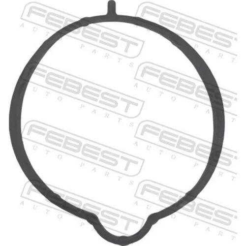 Tesnenie, hrdlo škrtiacej klapky FEBEST 05402-002