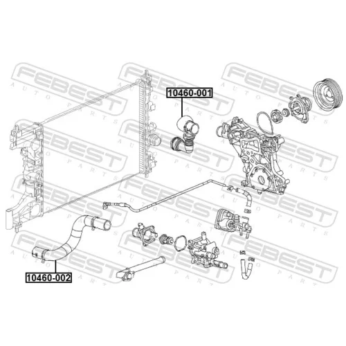 Hadica chladenia 10460-002 /FEBEST/ - obr. 1