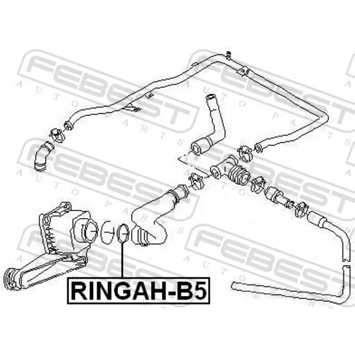 Tesnenie, Vedenie EGR ventilu RINGAH-B5 /FEBEST/ - obr. 1