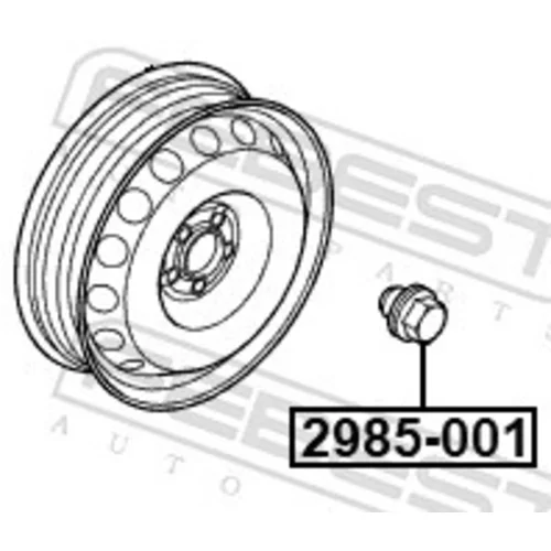 Matica kolesa 2985-001 /FEBEST/ - obr. 1