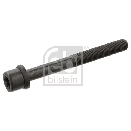 Skrutka hlavy valcov FEBI BILSTEIN 06543