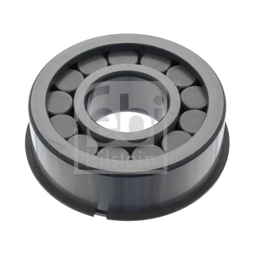 Ložisko, diferenciál FEBI BILSTEIN 100673