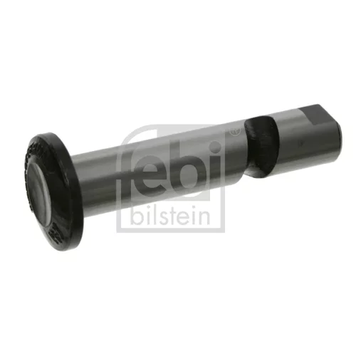 Výkyvný čap 01543 (FEBI Bilstein)