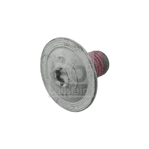 Skrutka 24244 (FEBI Bilstein)
