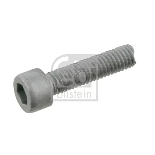 Skrutka 08953 (FEBI Bilstein)