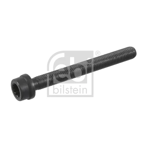 Skrutka hlavy valcov 22030 (FEBI Bilstein)