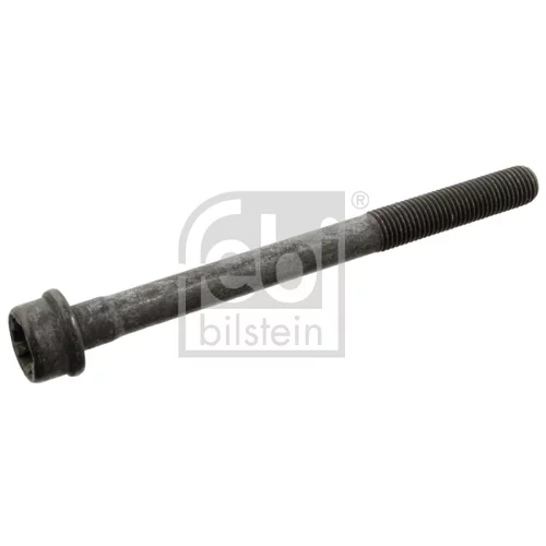 Skrutka hlavy valcov FEBI BILSTEIN 34696