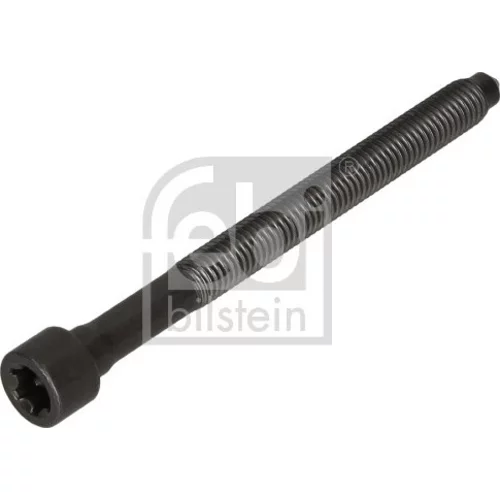 Skrutka hlavy valcov FEBI BILSTEIN 184669