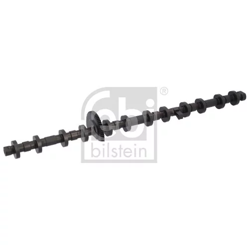 Excentrický hriadeľ, prestavenie vačkového hriadeľa FEBI BILSTEIN 184958