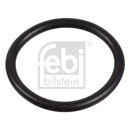Tesniaci krúžok, napínač rozvodovej reťaze 171597 (FEBI Bilstein)