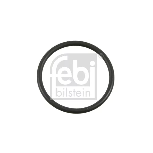 Tesniaci krúžok čapu nápravy 02174 (FEBI Bilstein)