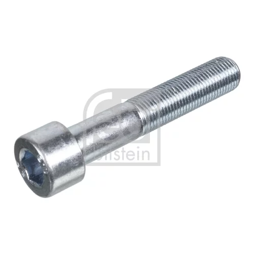 Skrutka 09110 (FEBI Bilstein)