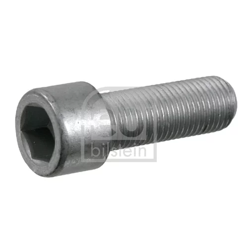 Skrutka 22248 (FEBI Bilstein)