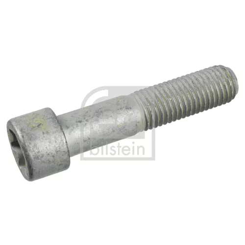 Skrutka 109455 (FEBI Bilstein)