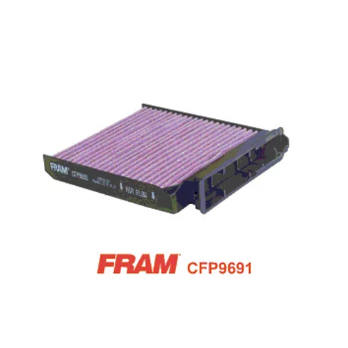 Filter vnútorného priestoru FRAM CFP9691