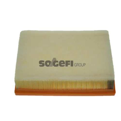 Vzduchový filter FRAM CA10446