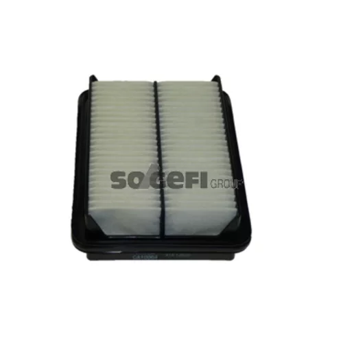 Vzduchový filter FRAM CA10064