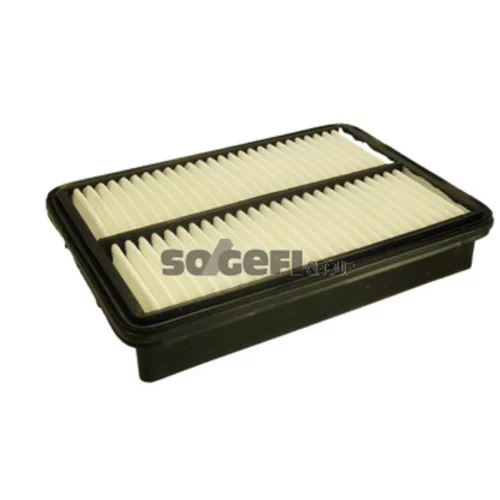 Vzduchový filter FRAM CA10086