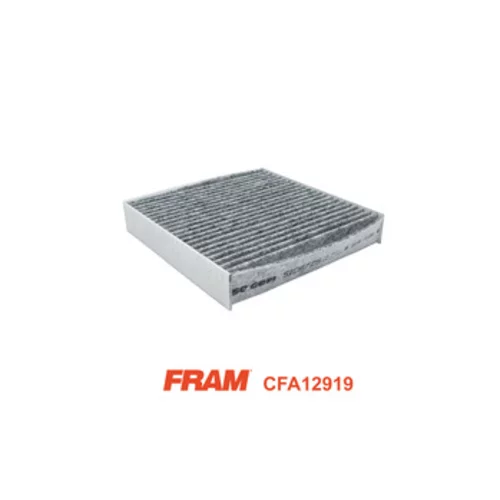 Filter vnútorného priestoru FRAM CFA12919