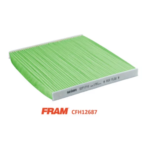 Filter vnútorného priestoru FRAM CFH12687