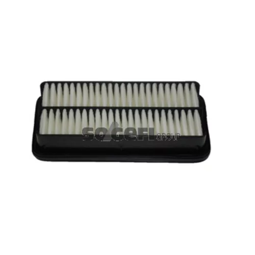 Vzduchový filter FRAM CA10143