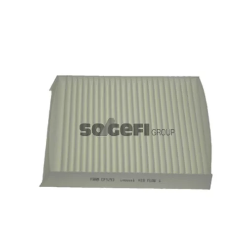 Filter vnútorného priestoru FRAM CF9293
