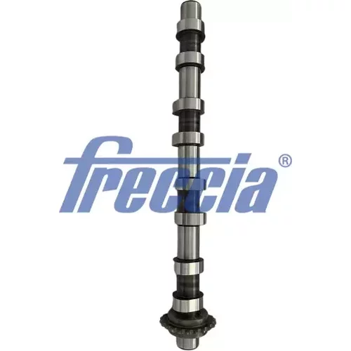 Vačkový hriadeľ FRECCIA CM05-2418