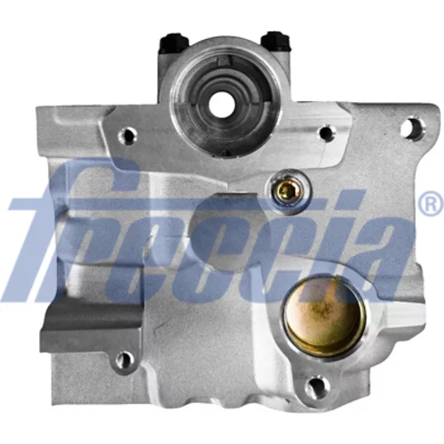Hlava valcov motora FRECCIA CH17-1133