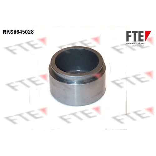 Piest brzdového strmeňa 9313403 /FTE/